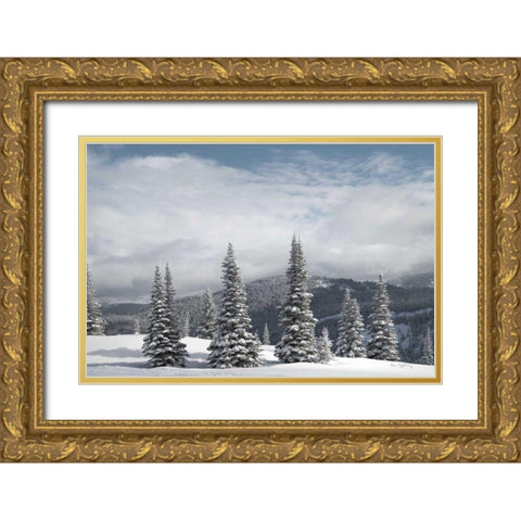 North Cascades in Winter II Gold Ornate Wood Framed Art Print with Double Matting by Majchrowicz, Alan