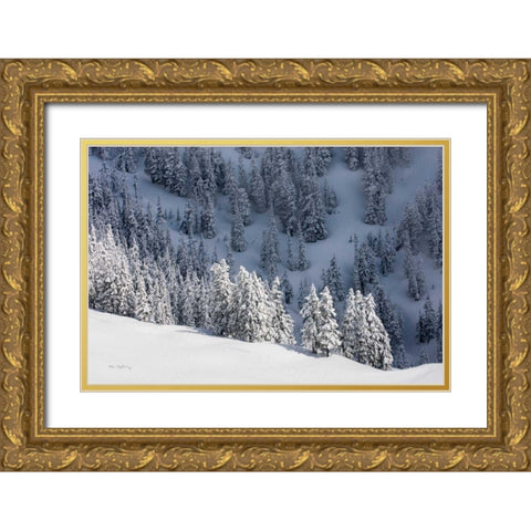 North Cascades in Winter III Gold Ornate Wood Framed Art Print with Double Matting by Majchrowicz, Alan