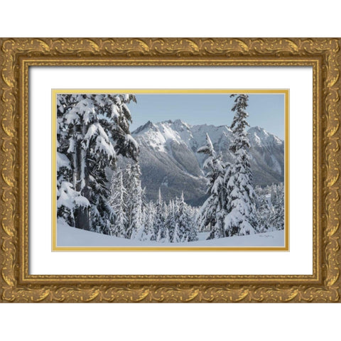 Nooksack Ridge in Winter Gold Ornate Wood Framed Art Print with Double Matting by Majchrowicz, Alan