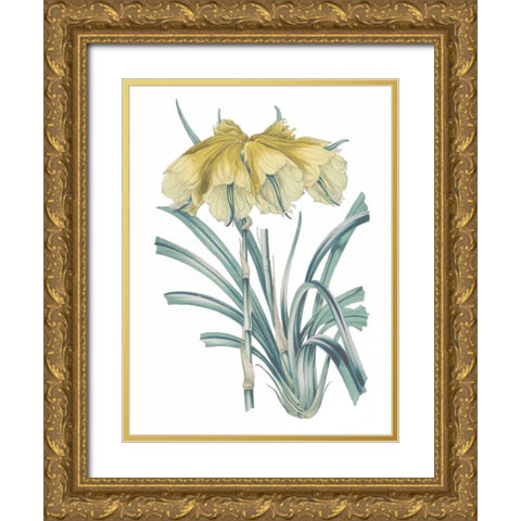 Antique Botanical XXIV Cool Gold Ornate Wood Framed Art Print with Double Matting by Wild Apple Portfolio