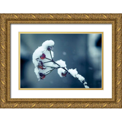 Light and Fluffy Gold Ornate Wood Framed Art Print with Double Matting by Eichman, Andre