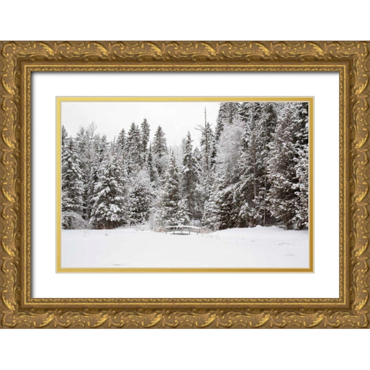 Perspective Image
