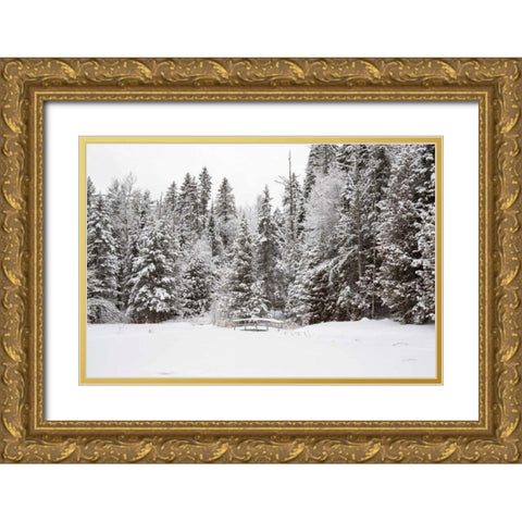 Over the Bridge Gold Ornate Wood Framed Art Print with Double Matting by Aledanda