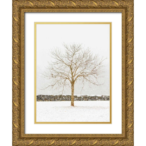 By the Stone Wall Gold Ornate Wood Framed Art Print with Double Matting by Aledanda