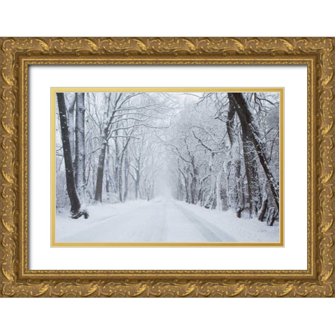 Going Home Gold Ornate Wood Framed Art Print with Double Matting by Aledanda