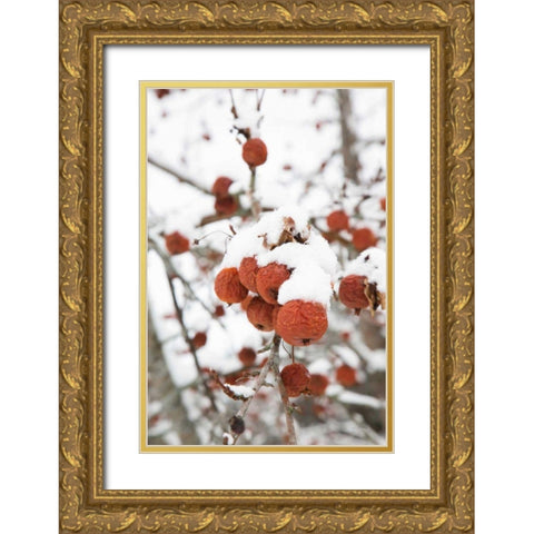 Snowcapped Gold Ornate Wood Framed Art Print with Double Matting by Aledanda