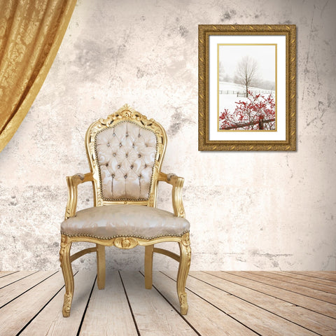 Red on White Gold Ornate Wood Framed Art Print with Double Matting by Aledanda