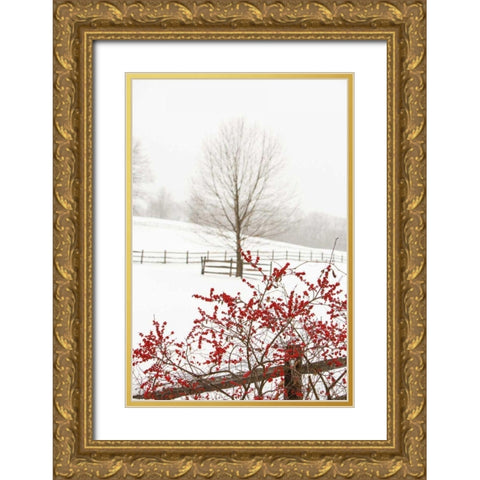 Red on White Gold Ornate Wood Framed Art Print with Double Matting by Aledanda