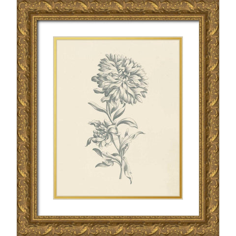 Eden Floral I Gold Ornate Wood Framed Art Print with Double Matting by Wild Apple Portfolio