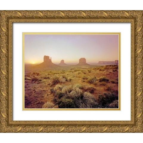 Dawn in the Desert Gold Ornate Wood Framed Art Print with Double Matting by Goldstein, Ed