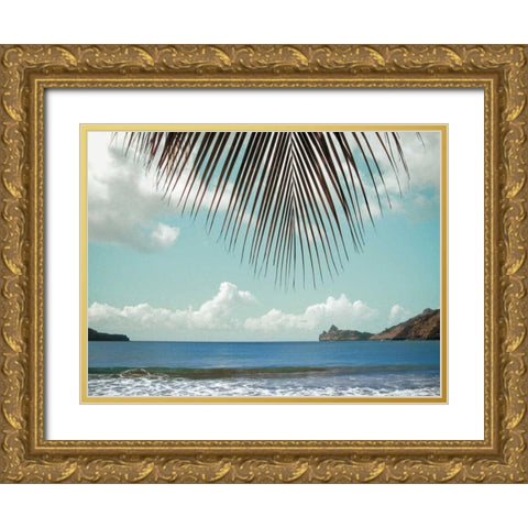 Palm Seashore Gold Ornate Wood Framed Art Print with Double Matting by Goldstein, Ed