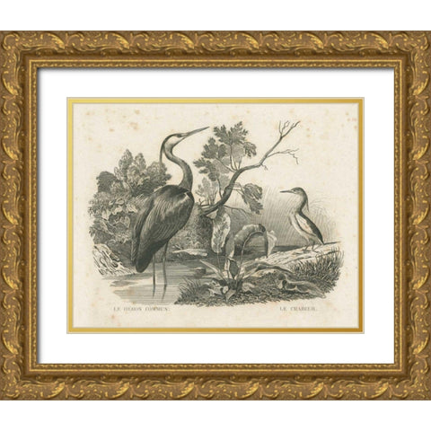 French Birds I Gold Ornate Wood Framed Art Print with Double Matting by Wild Apple Portfolio