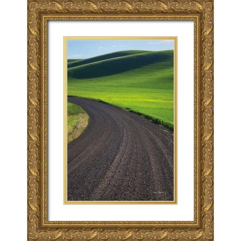 Going Through Palouse Wheat Fields Gold Ornate Wood Framed Art Print with Double Matting by Majchrowicz, Alan