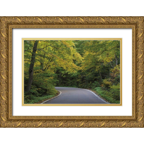 Smugglers Notch Road Gold Ornate Wood Framed Art Print with Double Matting by Majchrowicz, Alan