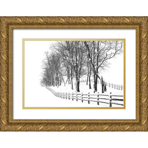 Winter Wonderland Gold Ornate Wood Framed Art Print with Double Matting by Aledanda