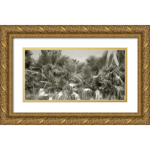 Water Palms Crop Gold Ornate Wood Framed Art Print with Double Matting by Goldstein, Ed
