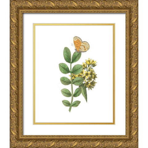 Greenery Butterflies II Gold Ornate Wood Framed Art Print with Double Matting by Wild Apple Portfolio