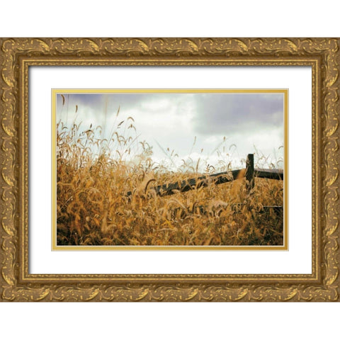 Fencerow Gold Ornate Wood Framed Art Print with Double Matting by Aledanda