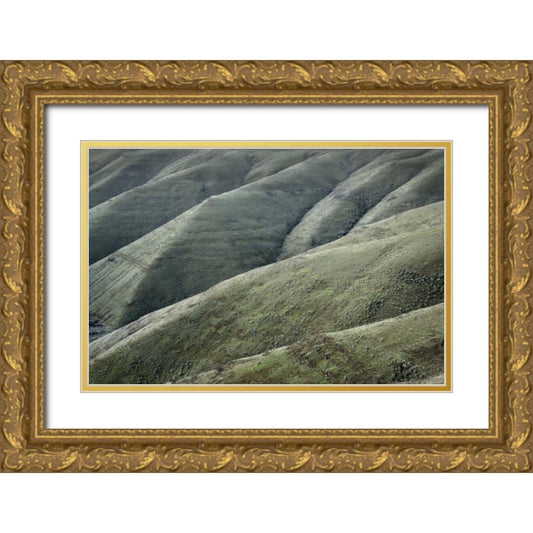 Perspective Image