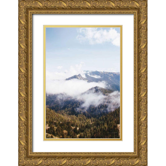 Perspective Image