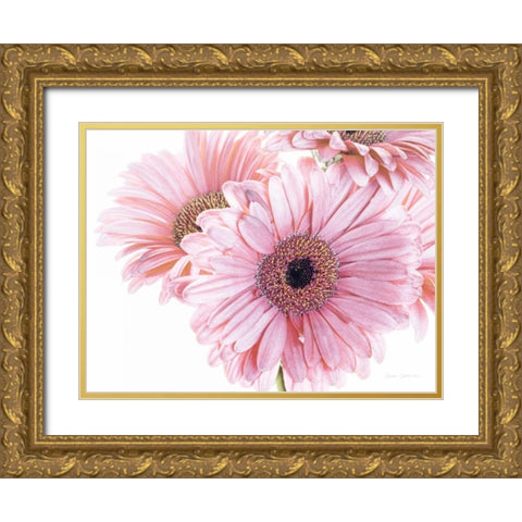 Pastel Gerbera Daisies Gold Ornate Wood Framed Art Print with Double Matting by Catterall, Elise