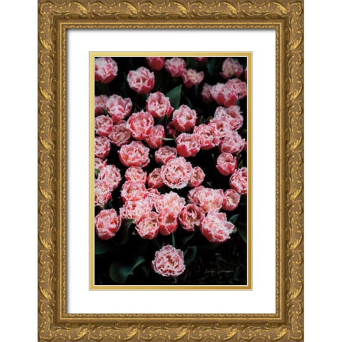 Fringed Tulips Gold Ornate Wood Framed Art Print with Double Matting by Catterall, Elise