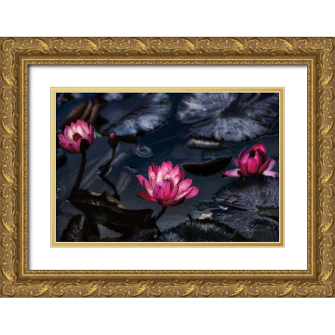 Waterlilies Gold Ornate Wood Framed Art Print with Double Matting by Catterall, Elise