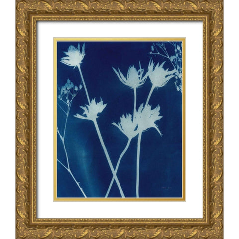 Enchanted Cyanotype I Gold Ornate Wood Framed Art Print with Double Matting by Green, Nancy
