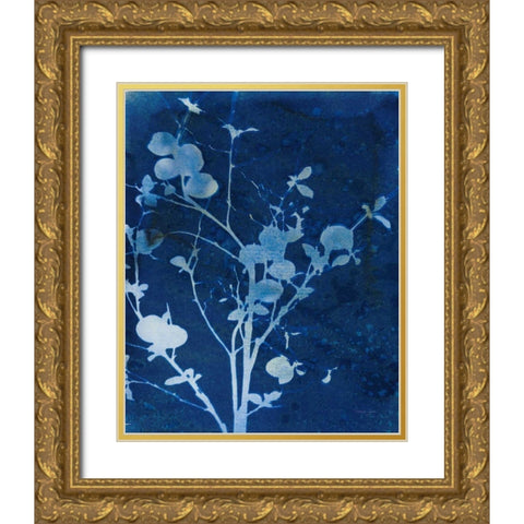 Enchanted Cyanotype VI Gold Ornate Wood Framed Art Print with Double Matting by Green, Nancy
