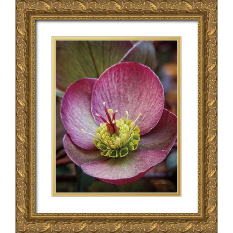 Lenton Rose IV Gold Ornate Wood Framed Art Print with Double Matting by Van Swearingen, Debra