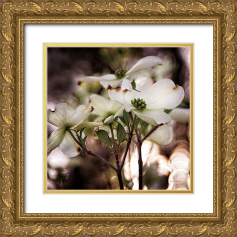 White Dogwood II Gold Ornate Wood Framed Art Print with Double Matting by Van Swearingen, Debra