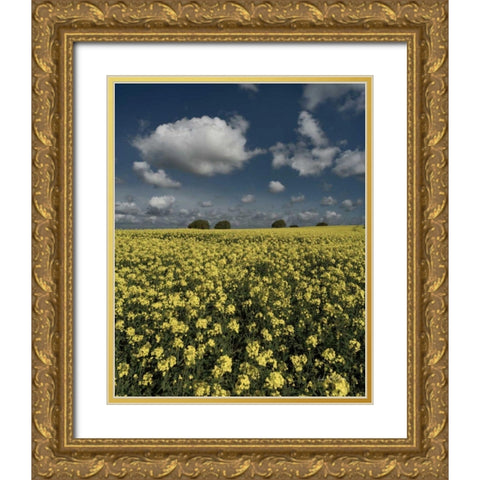 Yellow Fields Gold Ornate Wood Framed Art Print with Double Matting by Eichman, Andre