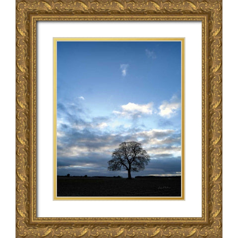 Horizon Tree Gold Ornate Wood Framed Art Print with Double Matting by Eichman, Andre