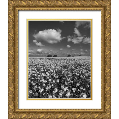 Yellow Fields BW Gold Ornate Wood Framed Art Print with Double Matting by Eichman, Andre