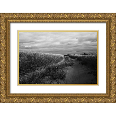 Beach Grasses Gold Ornate Wood Framed Art Print with Double Matting by Aledanda