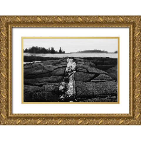 Fissures in Maine Gold Ornate Wood Framed Art Print with Double Matting by Aledanda