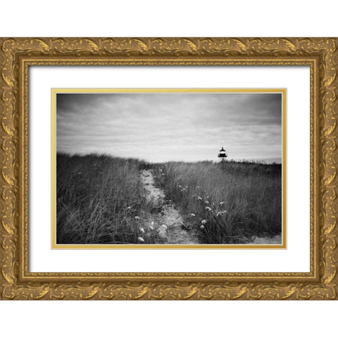 Nantucket Light Gold Ornate Wood Framed Art Print with Double Matting by Aledanda