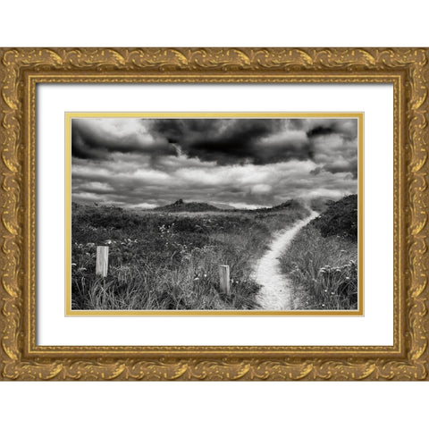Nantucket Pathway Gold Ornate Wood Framed Art Print with Double Matting by Aledanda