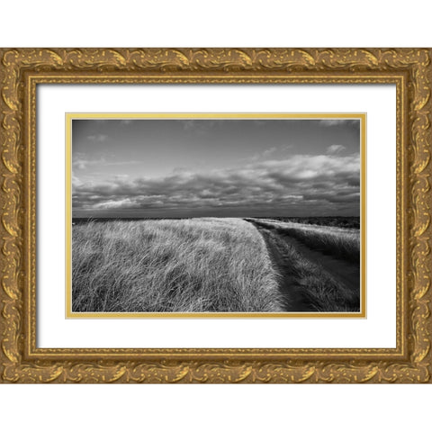 Road to the Beach Gold Ornate Wood Framed Art Print with Double Matting by Aledanda