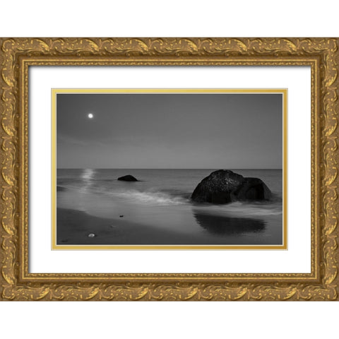 Summer Moon Gold Ornate Wood Framed Art Print with Double Matting by Aledanda