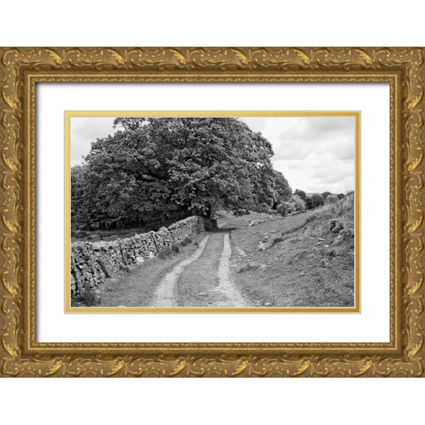 Wynlass Beck Gold Ornate Wood Framed Art Print with Double Matting by Marshall, Laura