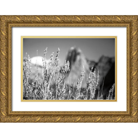 Canyon Sagebrush Gold Ornate Wood Framed Art Print with Double Matting by Marshall, Laura