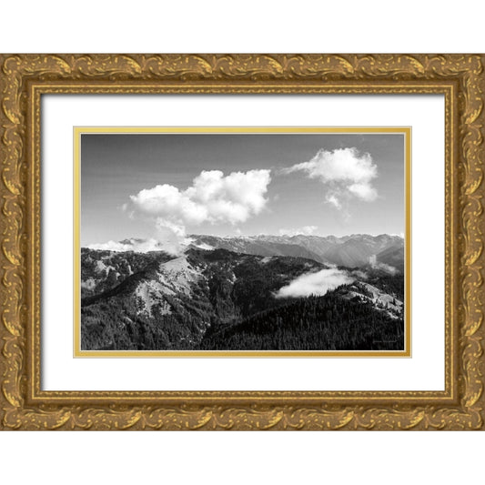 Perspective Image