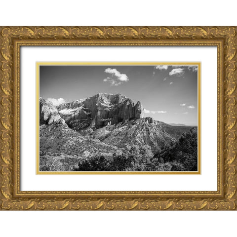 Timber Top Gold Ornate Wood Framed Art Print with Double Matting by Marshall, Laura