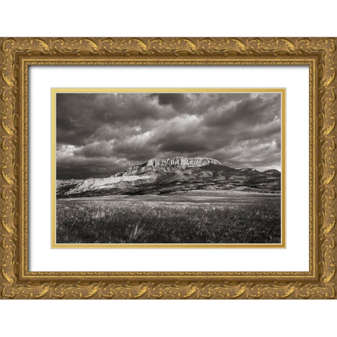 Castle Reef Mountain Gold Ornate Wood Framed Art Print with Double Matting by Majchrowicz, Alan