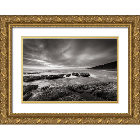 Kalaloch Beach Gold Ornate Wood Framed Art Print with Double Matting by Majchrowicz, Alan