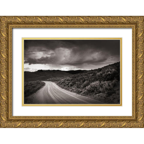 Stanley Basin Road Gold Ornate Wood Framed Art Print with Double Matting by Majchrowicz, Alan