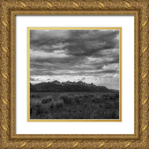 Grand Tetons II Gold Ornate Wood Framed Art Print with Double Matting by Eichman, Andre