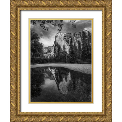 Yosemite I Gold Ornate Wood Framed Art Print with Double Matting by Eichman, Andre