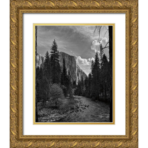 Yosemite II Gold Ornate Wood Framed Art Print with Double Matting by Eichman, Andre